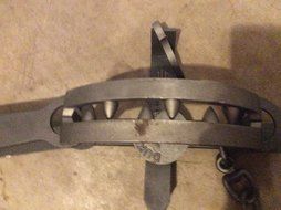 Duke #15 Bear Trap OS N2
