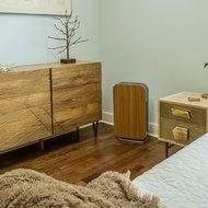 Alen BreatheSmart FLEX Customizable Air Purifier with HEPA-Silver Filter to Remove Allergies, Mold &amp; Bacteria... N32