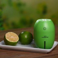 Ecosin Portable USB Humidifier Air Purifier Steam Diffuser Mist Office Room Accelerate the metabolism of cells... N15