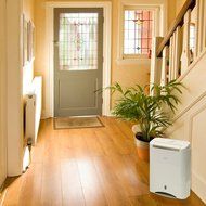 EcoSeb DD322EA-SIMPLE Desiccant Dehumidifier, 21-Pint, White, 120V N2