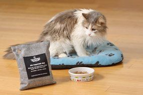 California Home Goods Naturally Activated Bamboo Air Purifying Bag, Charcoal Color, 200g N4