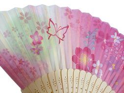 Folding Fan (21cm) Cherr blossom Pattern, Pink N4