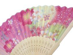 Folding Fan (21cm) Cherr blossom Pattern, Pink N5