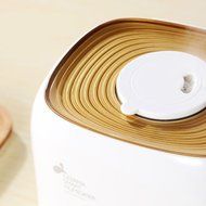 4L Large Capacity Activated Carbon Filter Ultra-Quiet Dry Automatic Power-Off Home Office Humidifier Aromatherapy