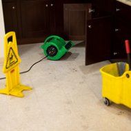 B-Air VP-25 Compact Lightweight Air Mover Carpet Dryer Blower Floor Fan N9