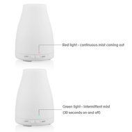 REDGO 100ml Aromatherapy Essential Oil Cool Mist Aroma Humidifier Diffuser Portable Ultrasonic with Color LED... N13