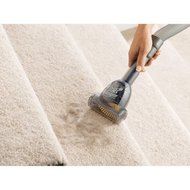 Eureka 3684F Pet Lover Mighty Mite Canister Vacuum, 6' hose PET Power Paw tool N3