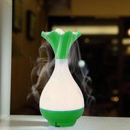 CNUALV Aromatherapy Essential Oil Diffuser Aroma Humidifier Air Purifier Cool Misting Spraying Bottle Humidifier... N18