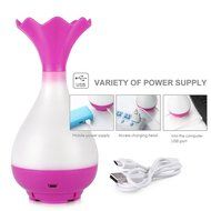 CNUALV Aromatherapy Essential Oil Diffuser Aroma Humidifier Air Purifier Cool Misting Spraying Bottle Humidifier... N19