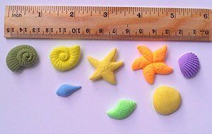 Design 556 Various Shell, Starfish and Conch Shpe Silicone Mold,Sugar Mold, Chocolate Mold, Cake Decoration Tool N5