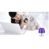 LOHOME (TM) Newest Fashion Hot Sale Rose Air Mist Purifier USB Portable Mini Ultrasonic Humidifier Air Freshener... N15