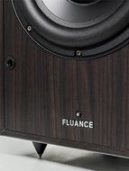 Fluance DB-150 10 Inch 150 Watt Low Frequency Powered Subwoofer-Dark Walnut