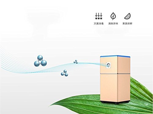 Mini O3 Air Purifier Sterilization Deodorizers O3 Freshener for Refrigerator, Shoe Cabinet, Pet Room, Storage... N4