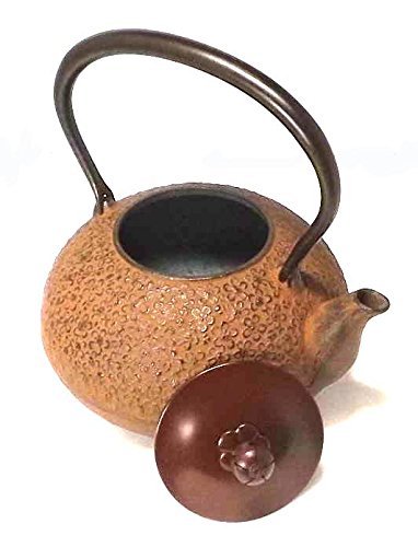 Naubu Iron Kettle Tetsubin Umemaruko Copper Lid Rust Color 1.2L（japan import）