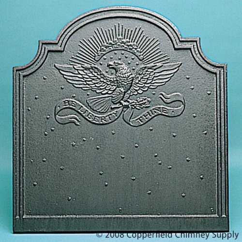 20.5" x 21.5" American Eagle Fireback