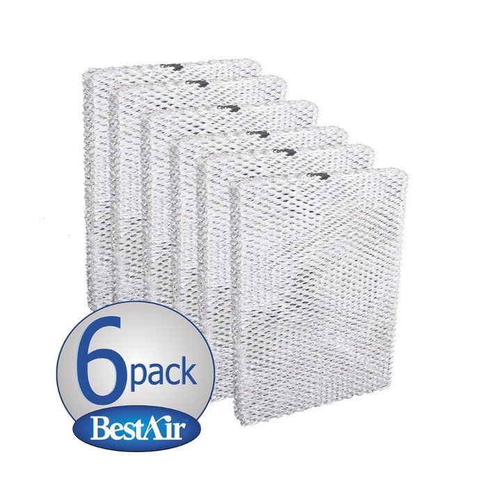 Metal and Clay Water Pad, 6 Pack N11