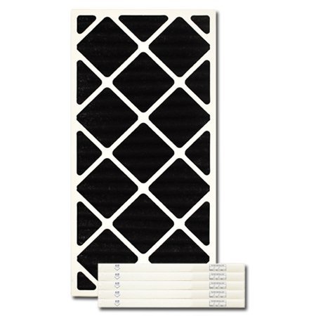 12 X 24 X 1 Carbon Pleated Filter
