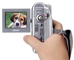 Toshiba Gigashot GSC-R30 30GB 2MP Hard Disc Drive Camcorder w/10x Optical Zoom (Discontinued by Manufacturer) N2