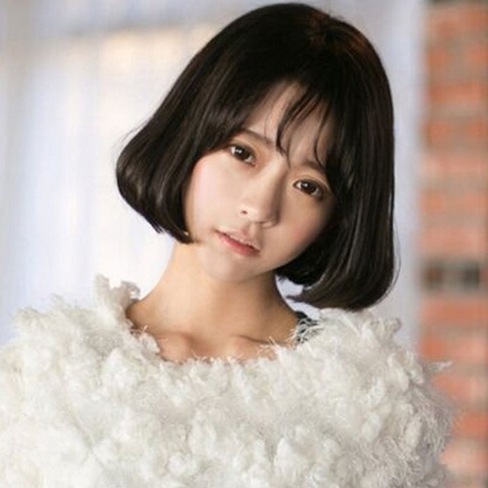 Spritech(TM) New Lovely Stylish Dark Brown Realistic Fluffy Short Wig Fiber Synthetic Women Wig N2