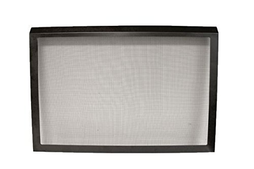 Zero-Clearance Mantis Fireplace with In-Wall Surround Kit, LP N2