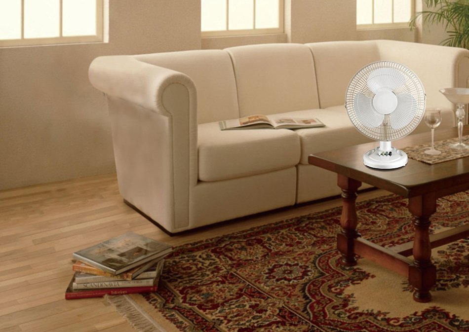 Royal Sovereign Home Products DFN-30B Desk Fan, 12-Inch N3