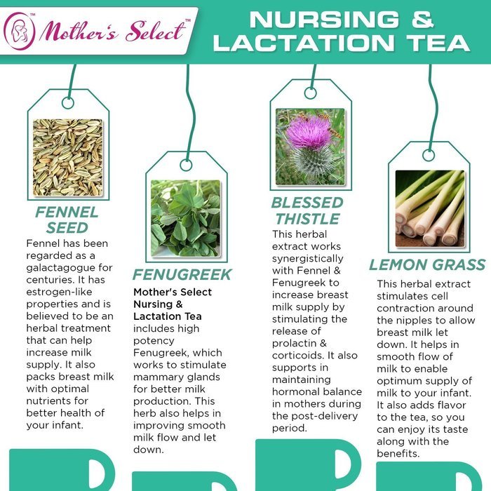 Nursing & Lactation Tea by Mother&rsquo;s Select to Increase Breast Milk Supply, All Natural, Caffeine-Free Nursing... N4