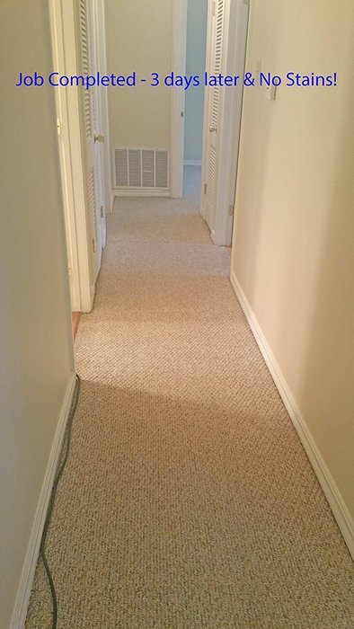 Chem-Girl-HAPPY CARPET - Concentrated Carpet Shampoo - Designed for ANY Hot Water Extraction Machine - Dye & Fragrance... N2