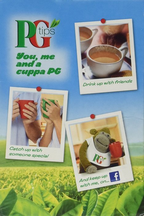 PG Tips Tea - Loose Leaf - 250g - 8.8oz