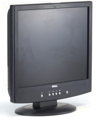 Dell E171FPb 17" Computer Monitor Flat Panel LCD