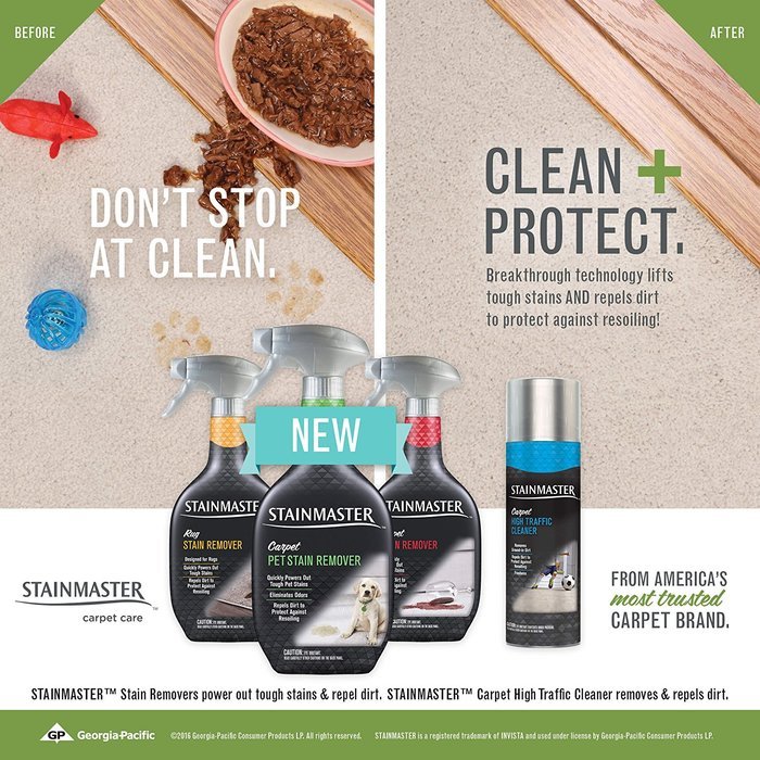 STAINMASTER Carpet Pet Stain & Odor Remover Cleaner, 22 Ounce N2