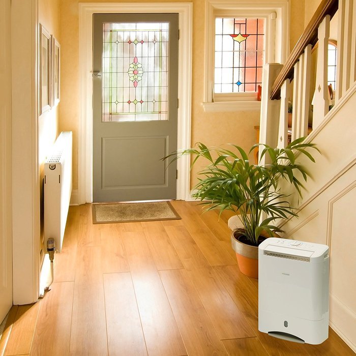 EcoSeb DD322EA-SIMPLE Desiccant Dehumidifier, 21-Pint, White, 120V N2