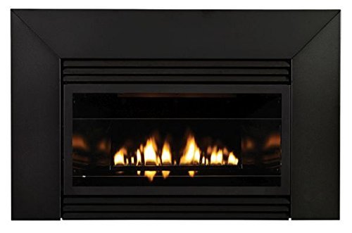 Loft Series IP VF Fireplace with Black Decorative Front, LP N2