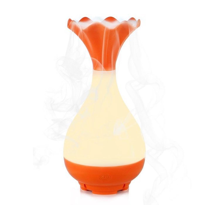 CNUALV Aromatherapy Essential Oil Diffuser Aroma Humidifier Air Purifier Cool Misting Spraying Bottle Humidifier... N11