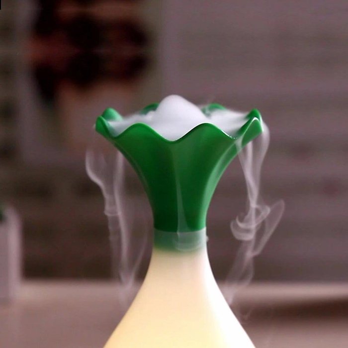 CNUALV Aromatherapy Essential Oil Diffuser Aroma Humidifier Air Purifier Cool Misting Spraying Bottle Humidifier... N20