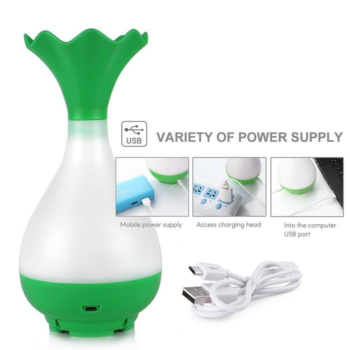 CNUALV Aromatherapy Essential Oil Diffuser Aroma Humidifier Air Purifier Cool Misting Spraying Bottle Humidifier... N21