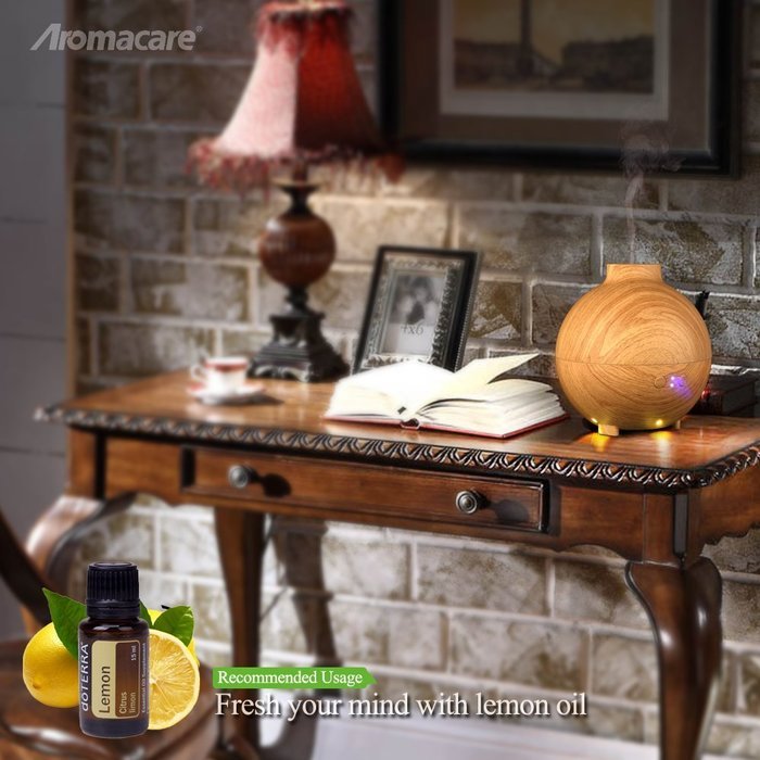 Large Aroma Globe Essential Oil Diffuser with Water 600ML , Aromatherapy Cool Mist Humidifier, Ultra Quiet Ultrasonic... N19