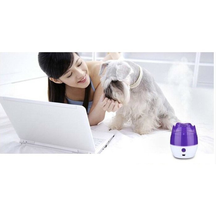 LOHOME (TM) Newest Fashion Hot Sale Rose Air Mist Purifier USB Portable Mini Ultrasonic Humidifier Air Freshener... N15