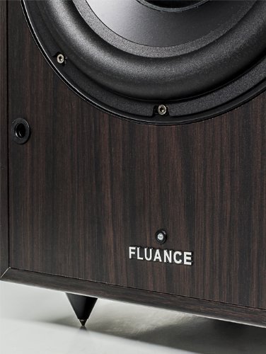 Fluance DB-150 10 Inch 150 Watt Low Frequency Powered Subwoofer-Dark Walnut