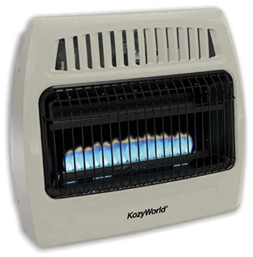 WORLD MKTG OF AMERICA/IMPORT KWD378 30000 BTU Dual Gas Wall Heater