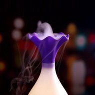 CNUALV Aromatherapy Essential Oil Diffuser Aroma Humidifier Air Purifier Cool Misting Spraying Bottle Humidifier... N24