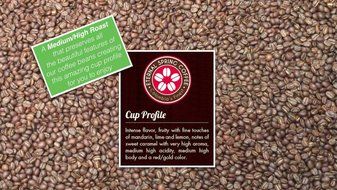 Eternal Spring Coffee Eternal Spring Whole Bean Colombian Coffee &ndash; 17.6 oz N8