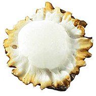 Sierra Lifestyles SL-681357 Blank Round Deer Burr Knob by Sierra Lifestyles