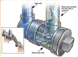 Canplas 393243A Endura InLine Drain Strainer, ABS Material