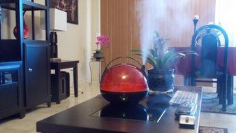 Canary Products HZ117 Humidifier, Red