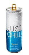 Just Chill Jamaican Citrus, 12 Ounce (Pack of 12) N9