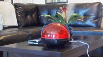 Canary Products HZ117 Humidifier, Red N2