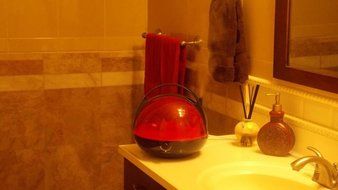 Canary Products HZ117 Humidifier, Red N3