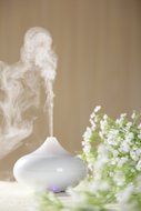 LUOYIMAN Aroma Diffuser Humidifier Whisper-quiet Aromatherapy Experience with Color LED Light and Auto Off Cool... N6