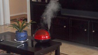 Canary Products HZ117 Humidifier, Red N4