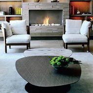 EcoSmart Fire - BK5 N3